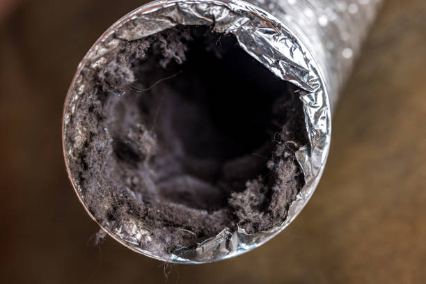 Best Dryer Vent Cleaning in Syracuse, KS